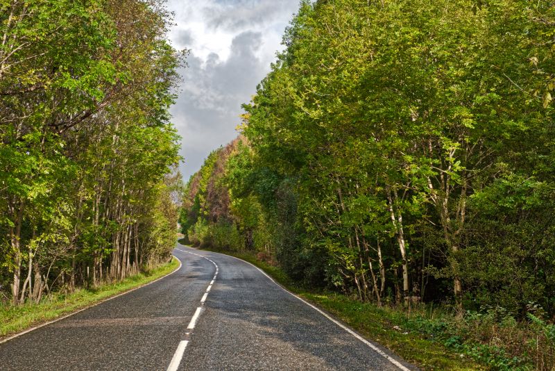 Chip And Seal Repair